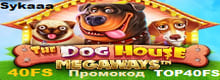 Sykaaa 40 FS по промокоду TOP40FS в The Dog House Megaways